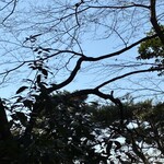 洋食 クチブエ - 