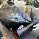 廻るすしざんまい - 5億円の尾頭