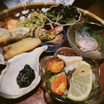 鶏と魚と炭火焼き 燈 - 