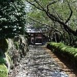 きむら屋 - 正門への小道（2014年8月）