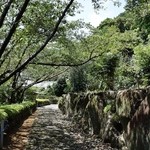 きむら屋 - お店への小道（2014年8月）