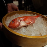 筑紫樓 - 本日のおすすめ食材 ”金目鯛” ＠4,000～4,500円 2015.1.x