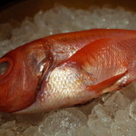 筑紫樓 - 本日のおすすめ食材 ”金目鯛” ＠4,000～4,500円 2015.1.x