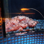 筑紫樓 - 水槽にはオコゼが 2015.1.x