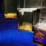 筑紫樓 - 伊勢海老と車海老 2015.1.x