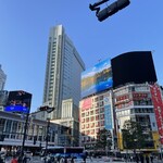 ストリーマー コーヒーカンパニー SHIBUYA - 