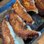 博多らーめん塩原いってつ - 餃子