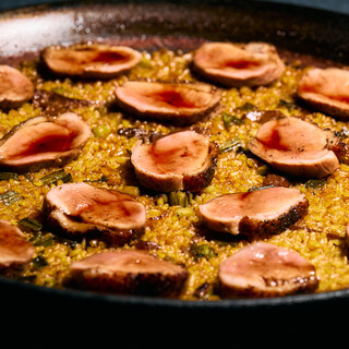 アロセリア ラ パンサ_0