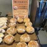 THE FULL FULL HAKATA - 