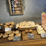 THE FULL FULL HAKATA - 