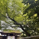 嵐山よしむら - 