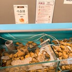 해물 뷔페 다이닝 긴자 핫포우 - 