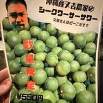 モダン酒場 KANPAI - 