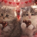 ゴンチャロフ - 料理写真: