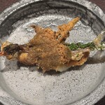 イル アオヤマ - 