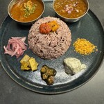 Curry Spice Gelateria KALPASI - 