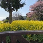 ティファニーミュージアム別館&カフェ - 