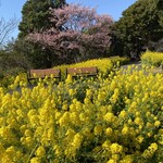 ティファニーミュージアム別館&カフェ - 