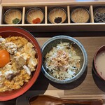 Sumibi Yakitori to Hitokuchi Gyoza TORA Tori YA Nanba Sennichimae Ten