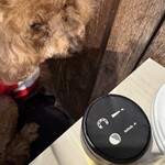 元氣餃子 弄堂 - シェリにはおやつｗ