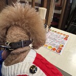 元氣餃子 弄堂 - テラス席は狭いけど２名掛けのテーブルが２つ有り