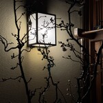 杦 - 