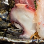 海鮮和食 魚魚魚 - 