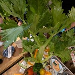 AMAKUSAYA - お?! 視界が遮られるのですがこれは…？