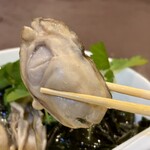 開運橋通 ふじ原 - 陸前高田 広田湾産の牡蠣