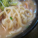 麺屋 はやさか - 麺アップ。