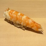 鮨 一二郎 - 車海老。小ぶりですが旨みがぎゅっ！