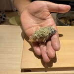 鮨 一二郎 - 鯵。おぼろ昆布をたっっぷりのせて。それにしても宮井大将の手のひら。美味しいお鮨を握る人の手だなぁ〜❤️