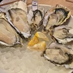 カキノバル OYSTER&WAGYU - 