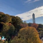 どうぶつカフェ - 