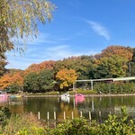 どうぶつカフェ - 