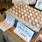 小林 地鶏の里 - 地鶏の卵　皆さん買ってましたね…