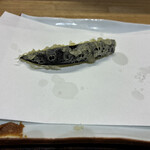 特撰ひやむぎ きわだち - 