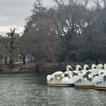 nido - スタンバイ中の白鳥ポートたち