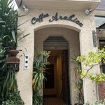 コヒア アラビカ - 