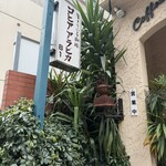 コヒア アラビカ - 