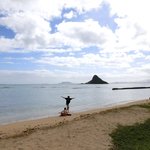 Tropical Farms - <'14/12/29撮影>クアロア・リージョナル・パーク