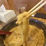 うどん 四方吉 - 【2026.1.20(火)】豚カレーうどんの麺