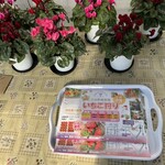 小谷野果樹園 - 