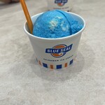 ブルーシール - 