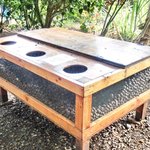 Tropical Farms - <'14/12/29撮影>殻が付いたままのマカダミアナッツ