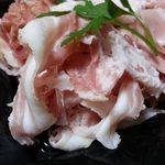 サルメリア ラボ - 