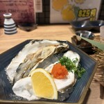 野良のまたたび - 
