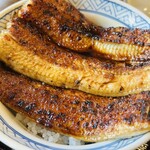 うなぎ専門店 本多 - 