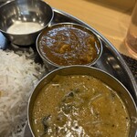 スパイス料理ナッラマナム - 