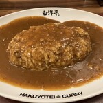 白洋亭 - カレーライス850円